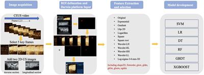 Applying machine-learning models to differentiate benign and malignant thyroid nodules classified as C-TIRADS 4 based on 2D-ultrasound combined with five contrast-enhanced ultrasound key frames